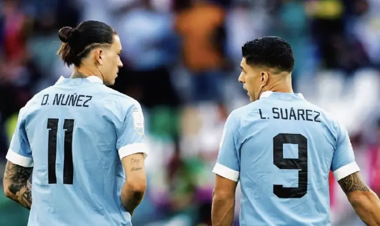 爱尔兰队意外不敌对手，提前出局遗憾