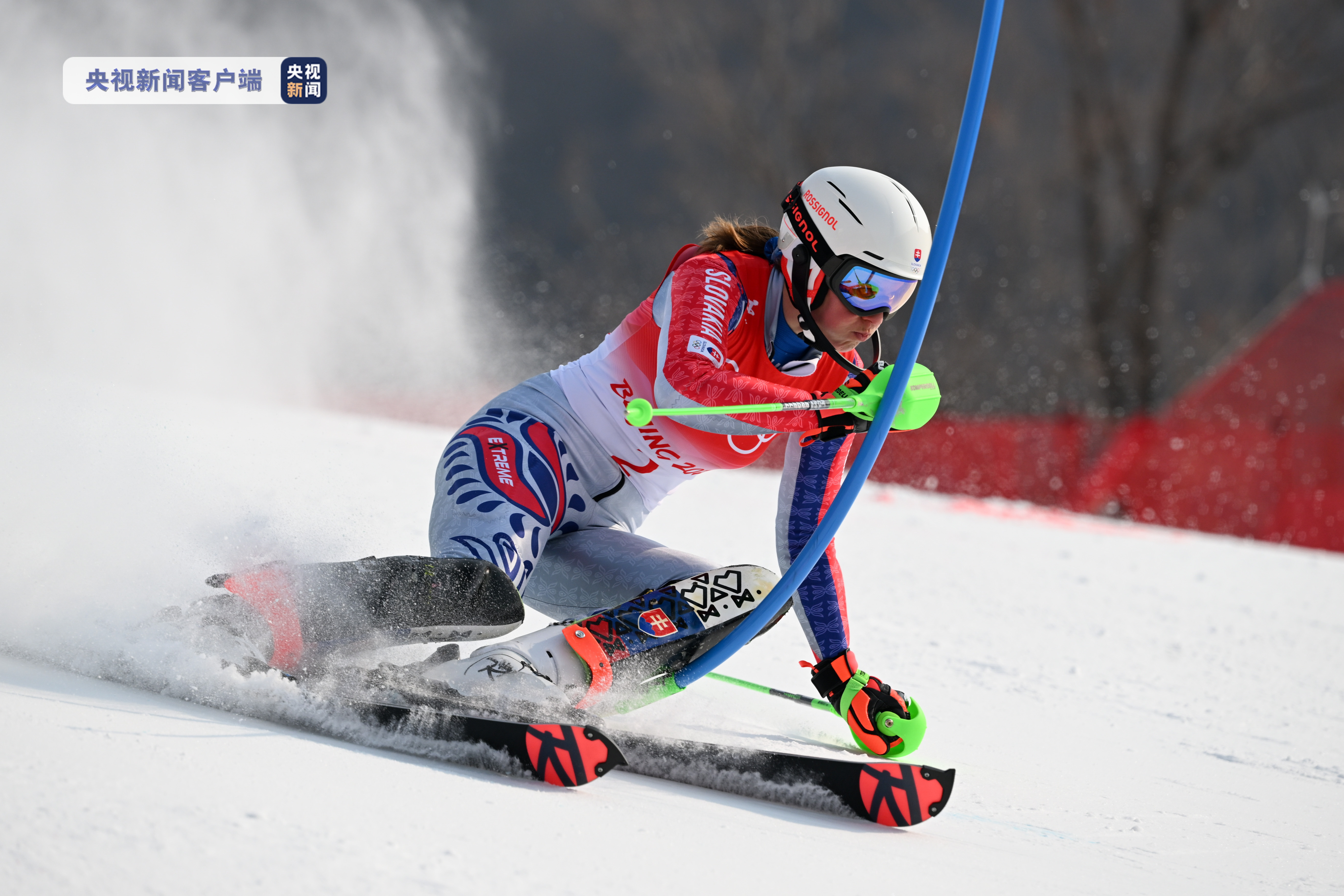 奥地利选手在高山滑雪角逐中崭露头角的简单介绍